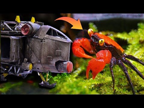 How to Create a Vampire Crab Habitat with a Spaceship Design