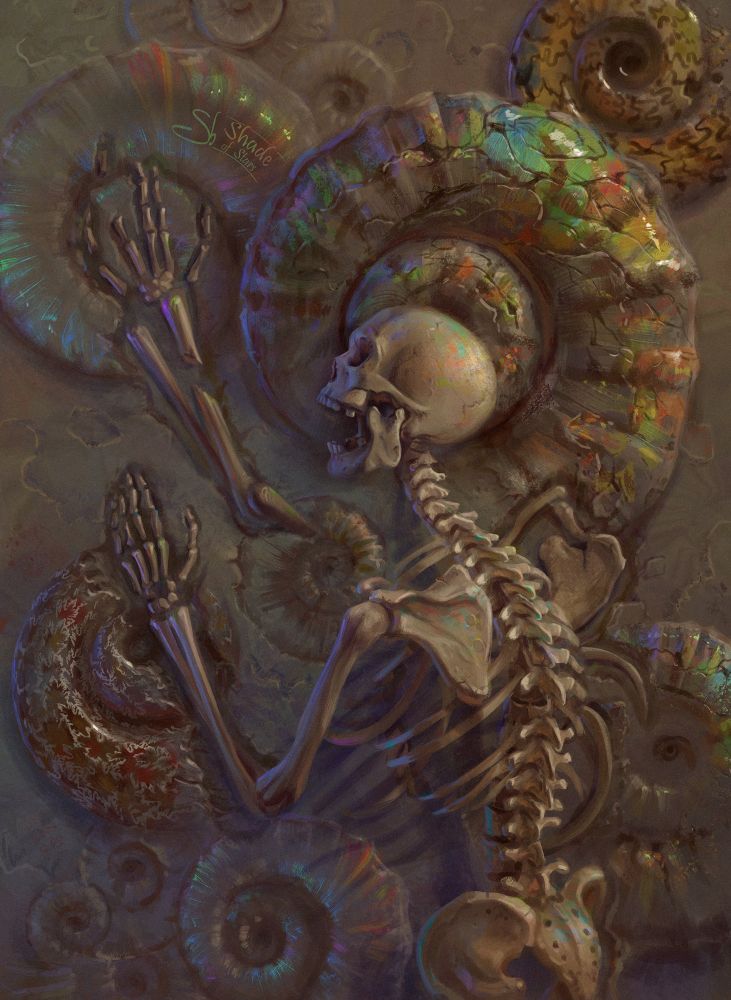 Digital painting. An old human skeleton lying on the ground, some parts of it are buried or broken, it resembles a fossil. The ground under it is a stone with a lot of ammonites in it, they are different in size and color, some are iridescent.