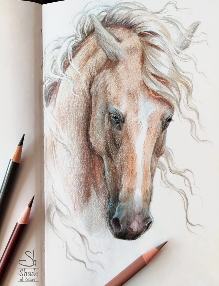A photo of a sketchbook page with some colored pencils over it and a drawing of a horse head.