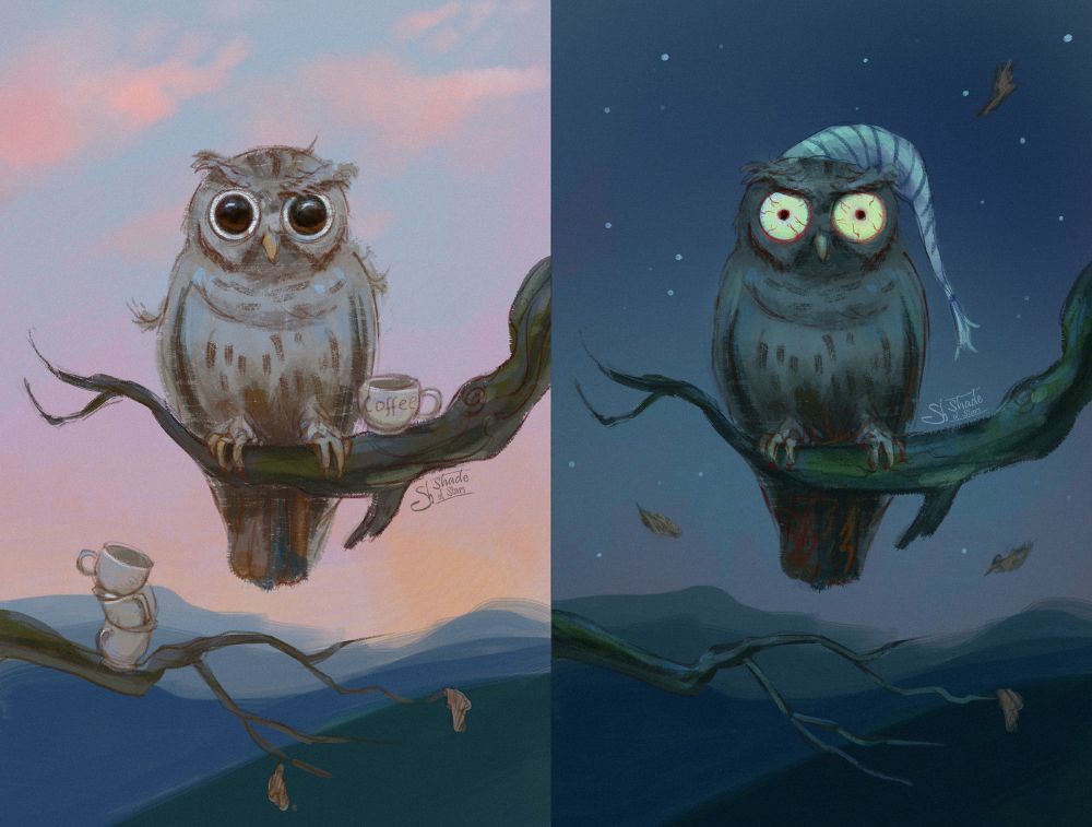 The image is divided into two parts. The left side is a sketch of an owl which sits on a tree branch, surrounded by some cups of coffee. It's a day time. The right side is the sketch of the same owl at night tome, it's eyes are wide, it's not sleeping.