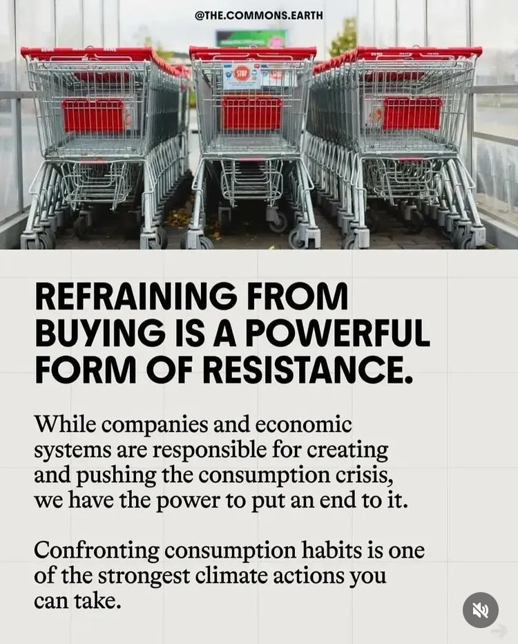 REFRAINING FROM BUYING IS A POWERFUL FORM OF RESISTANCE.
While companies and economic systems are responsible for creating and pushing the consumption crisis, we have the power to put an end to it.
Confronting consumption habits is one of the strongest climate actions you can take