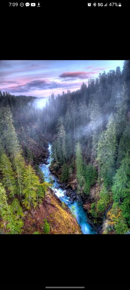 Mountain stream surrounded by a forest and pink clouds 