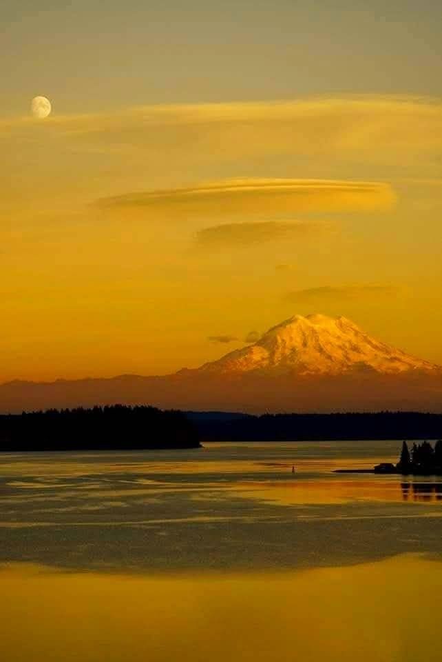 Lenticular clouds near Mt Rainier 