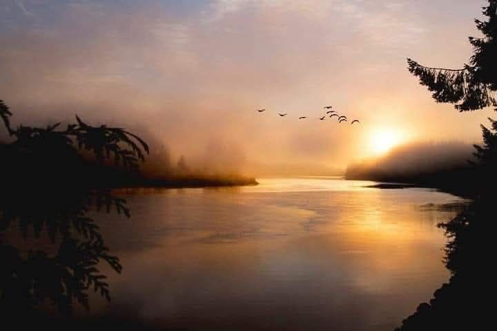Birds fly in front of the sun and over the water 