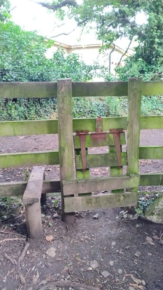 A narrow stepover stile on a wooden fence, with a flap for dogs cut out alongside. The flap is made from timber offcuts with three rusty gate hinges bent around the fence timber.