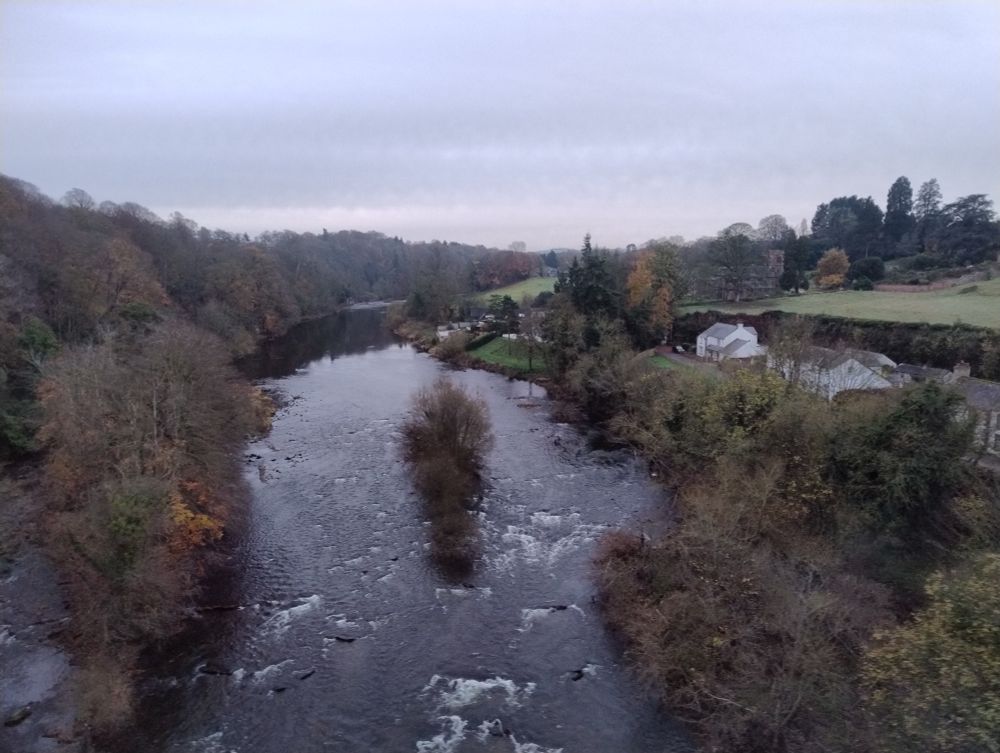 Looking down on the river Eden, a fast flowing rocky river, with some rapis. Itsrunning through a gorge with a small island of trees in the middle of the channel 