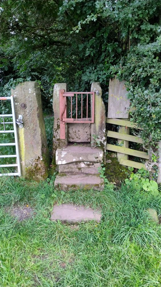 A stile next to a field gate at the end of a wooded lane. The narrow stile is made from red sandstone block steps, with a small red metal gate at the top, with a spring closure