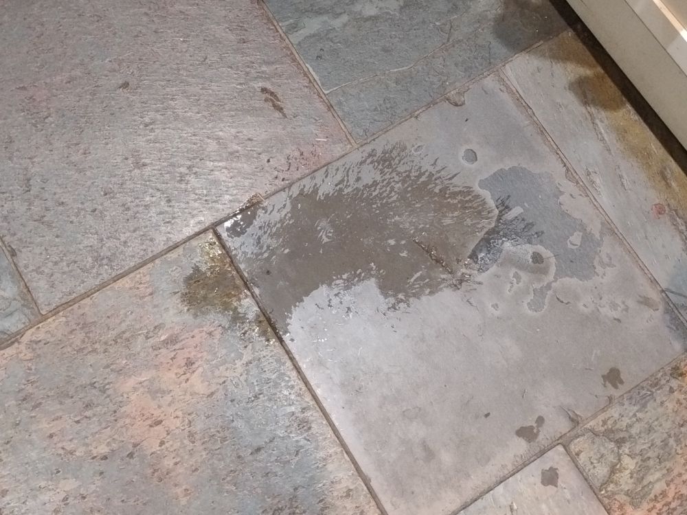 A wet puddle on a stone flag floor, in the shape of a cat, with clear marks for the head and paws, and fur shaped splashes