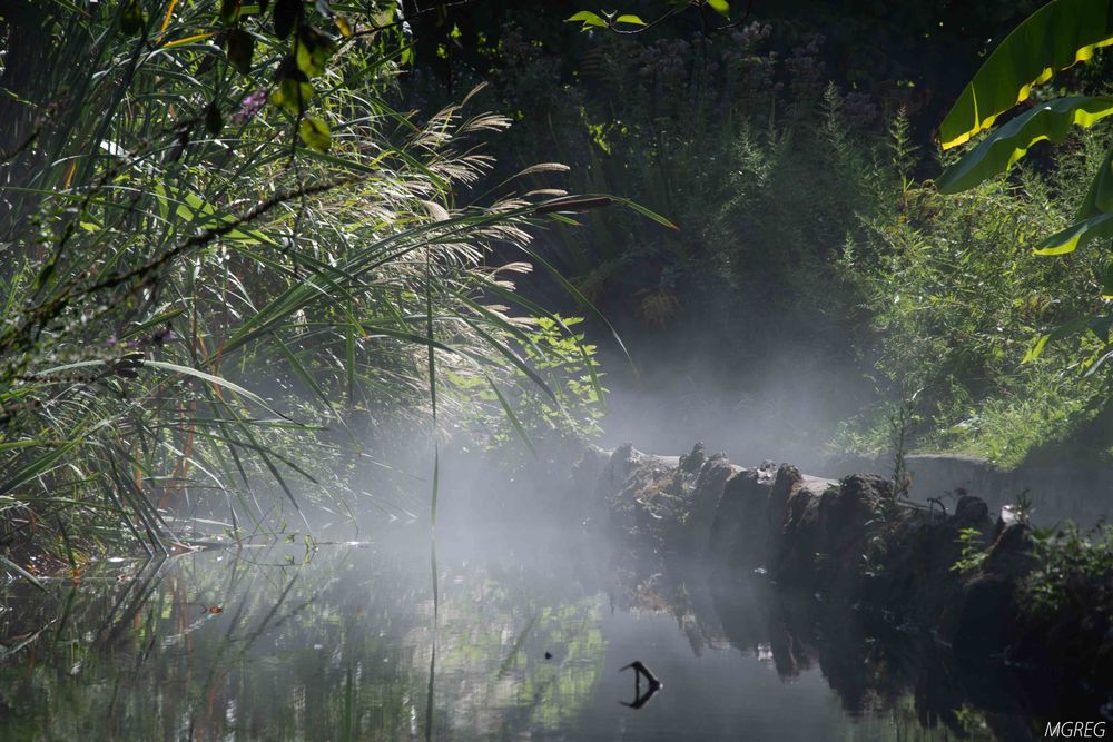 Brume sur la rivière