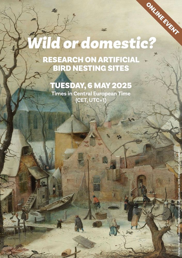 Poster for online workshop Wild or Domestic? Research on Artificial Bird Nesting Sites. May 6, 2025. 