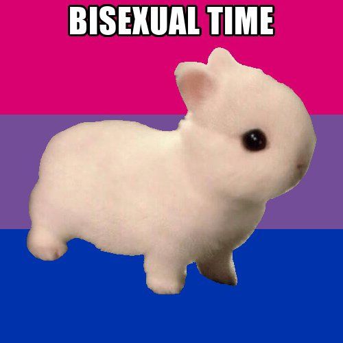 Bandera bisexual con un conejito muy redondeado y el texto BISEXUAL TIME