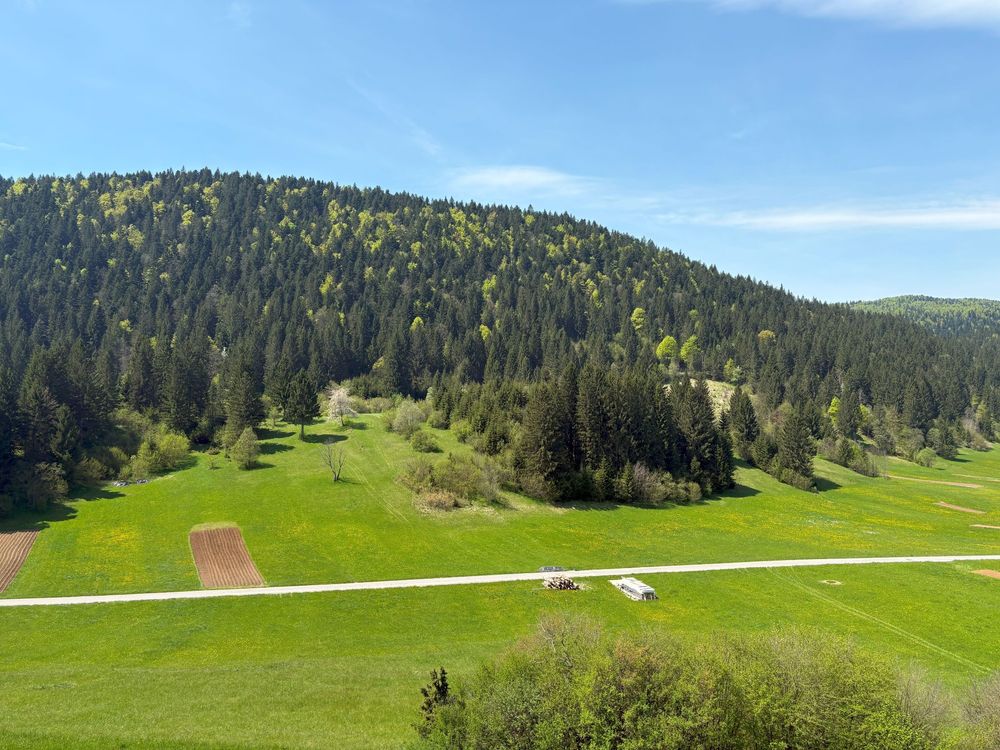 A peaceful green valley surrounded by forested hills under a clear blue sky.