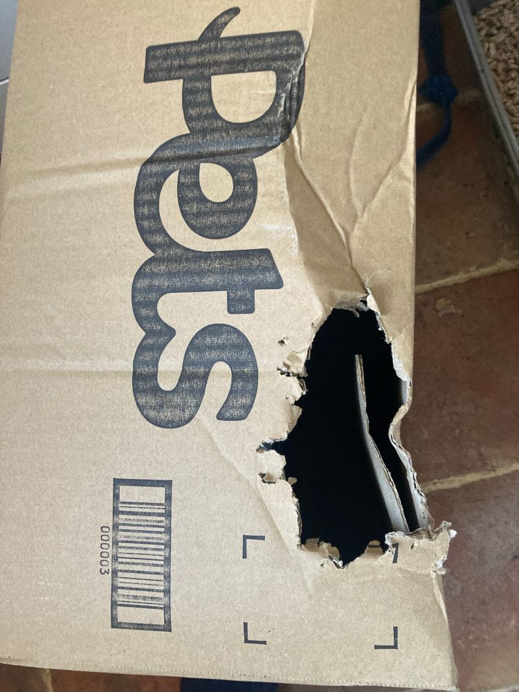 A Pets at Home delivery box with a suspiciously kitten size hole ripped out of it.