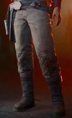 An image of Banchii survivalist pants