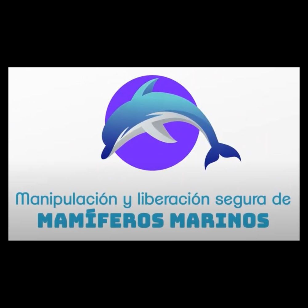 Manipulación y Liberación segura de Mamíferos Marinos