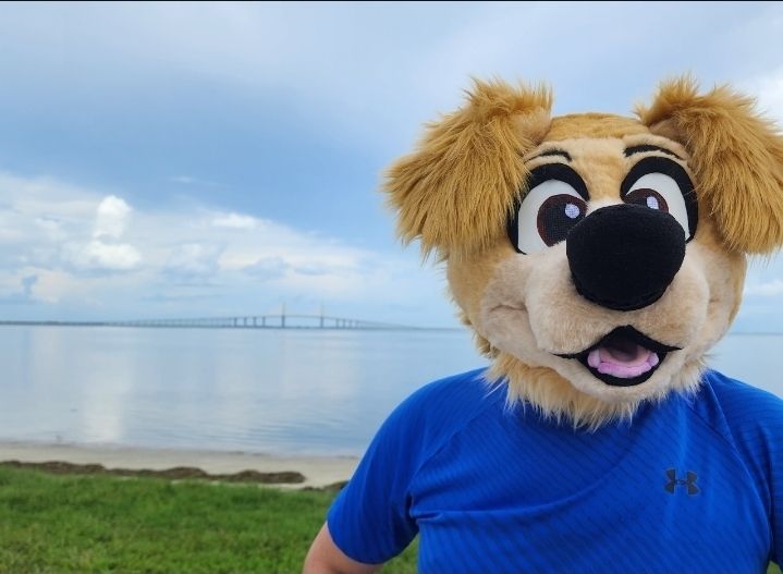 Wide angle Goldy in front of the bridge 