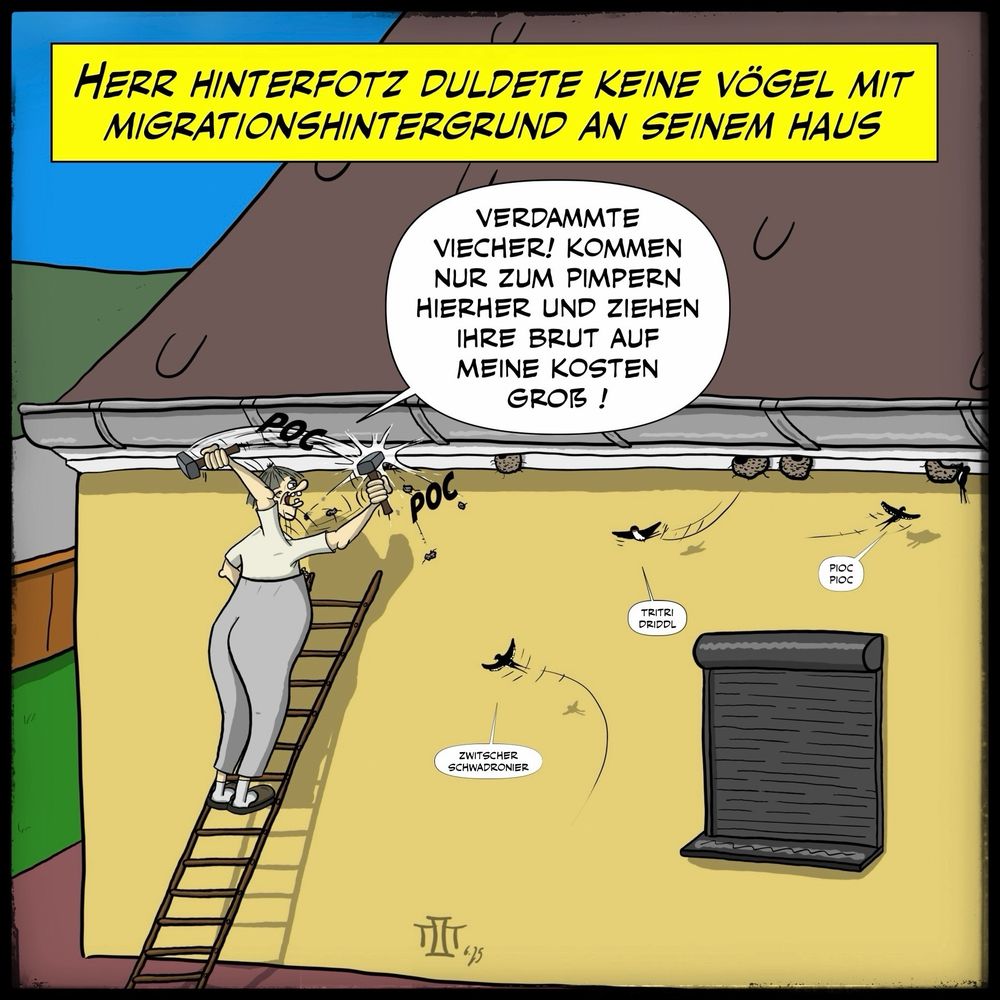 Herr Hinterfotz, ein fiktiver Cartoon-Charakter, steht auf einer Leiter am Haus und zerstört mit einem großen Hammer frisch gebaute Schwalbennester. Dabei meckerte er:

VERDAMMTE
VIECHER! KOMMEN NUR ZUM PIMPERN HIERHER UND ZIEHEN IHRE BRUT AUF MEINE KOSTEN GROẞ !

In der Textbox steht:

HERR HINTERFOTZ DULDETE KEINE VÖGEL MIT MIGRATIONSHINTERGRUND AN SEINEM HAUS