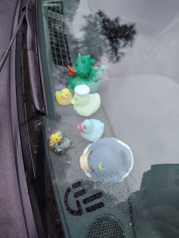 A row of rubber ducks in a Jeep windshield.
