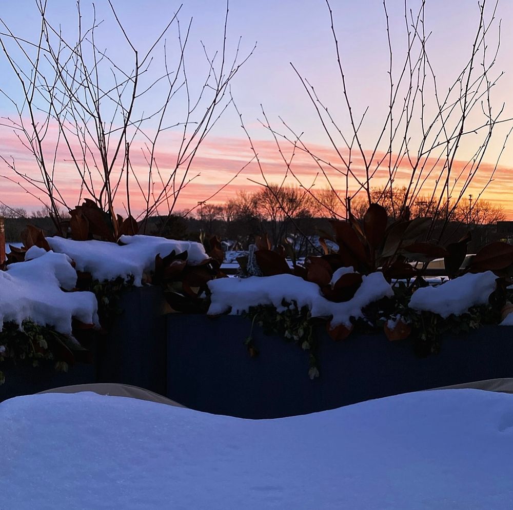 Snowy sunset