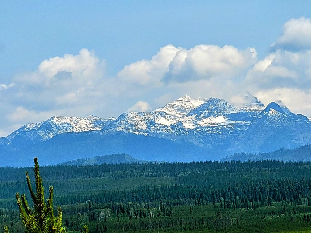 A long-distance view of the vast pine forest leading into the vast mountains of Glacier National Park with enormous clouds and blue skies above the mountains. Just one magnificent reason to keep our national parks, forests, and monuments in the public domain. Save our parks.