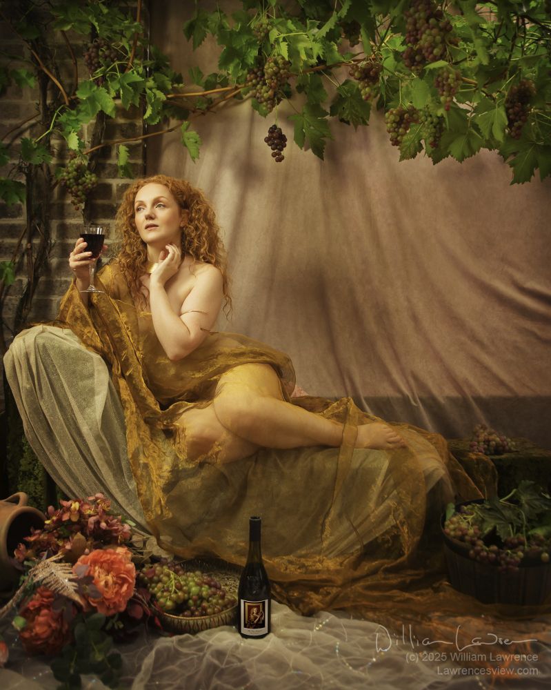 Model Ivory Flame poses wrapped in sheer gold fabric, holding a glass of wine.  She is reclining in a grape arbor bearing bunches of grapes.