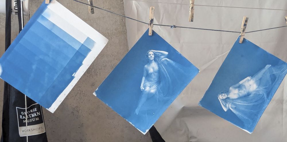 Exposure time print, and a couple of test cyanotypes (exposed lightly for gum). The astute among you will notice that the model (Ivory Flame) is reversed in the two prints. I learned to do the negative in the opposite direction (from, say kallitype printing) for gum, to make it easier to register multiple layers. I still keep printing backwards if I'm not paying attention!