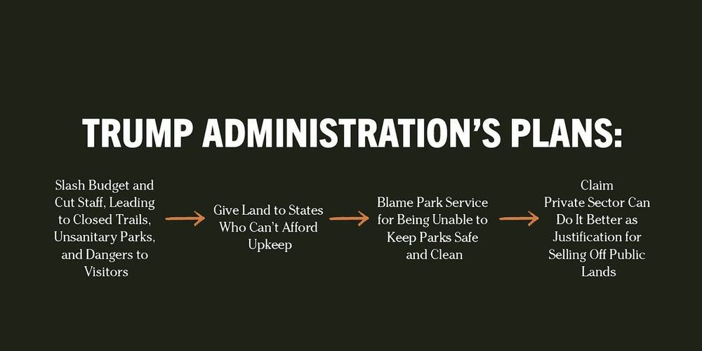All signs point to a mass sell-off, as park service begins to fail and private equity circles