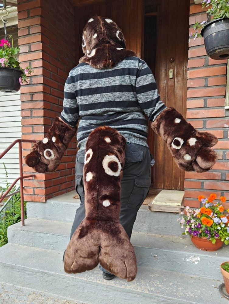 Seal fursuit partial from the back, big tail fin visible 