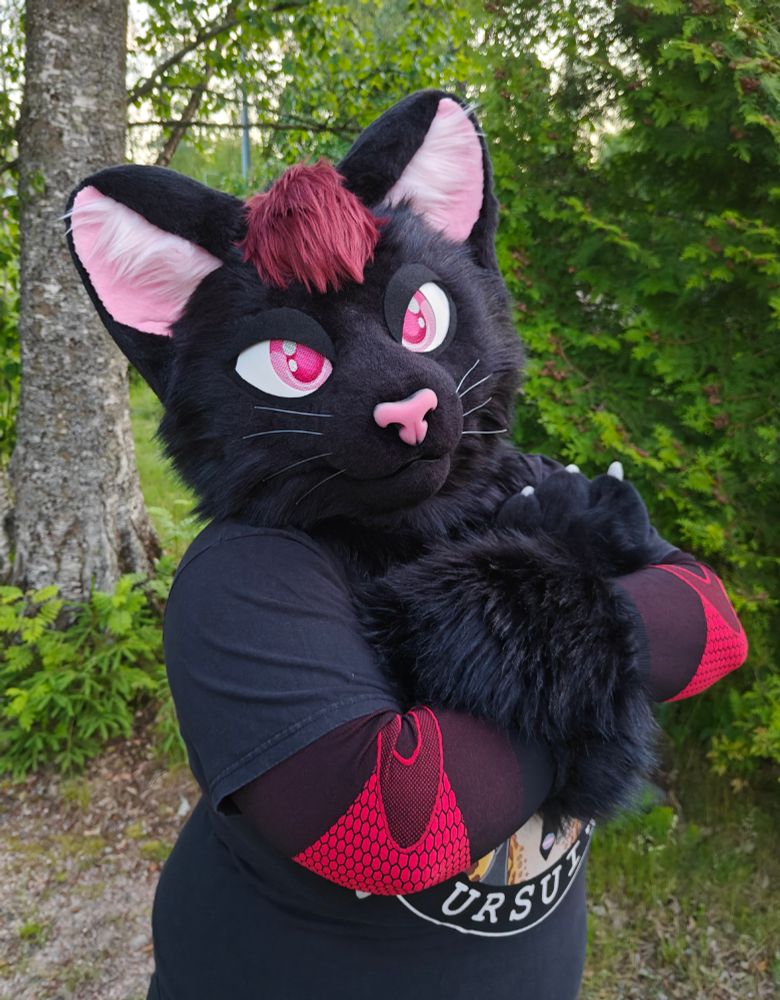 Black cat partial fursuiter with red-brown hair piece, hands crossed.