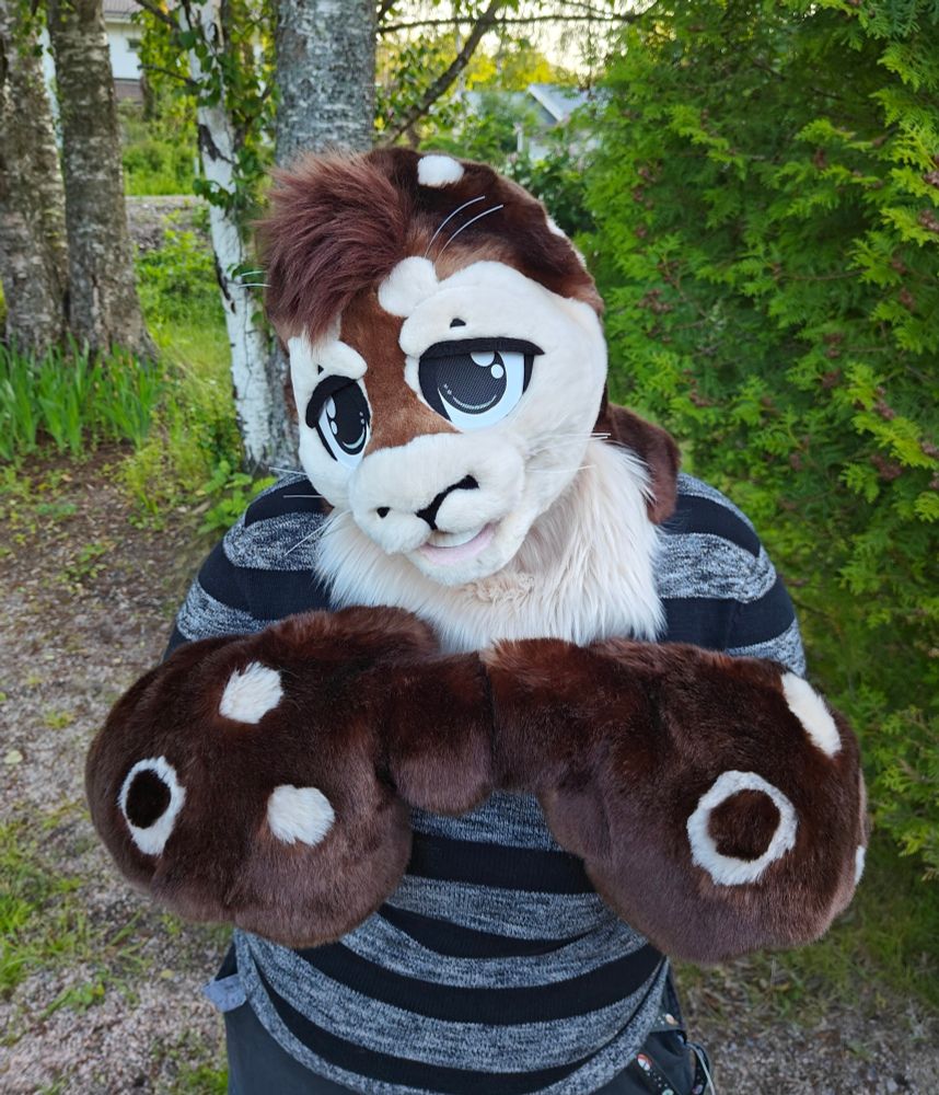 Seal partial fursuit, eepy eyelids, hands doing the 👉👈