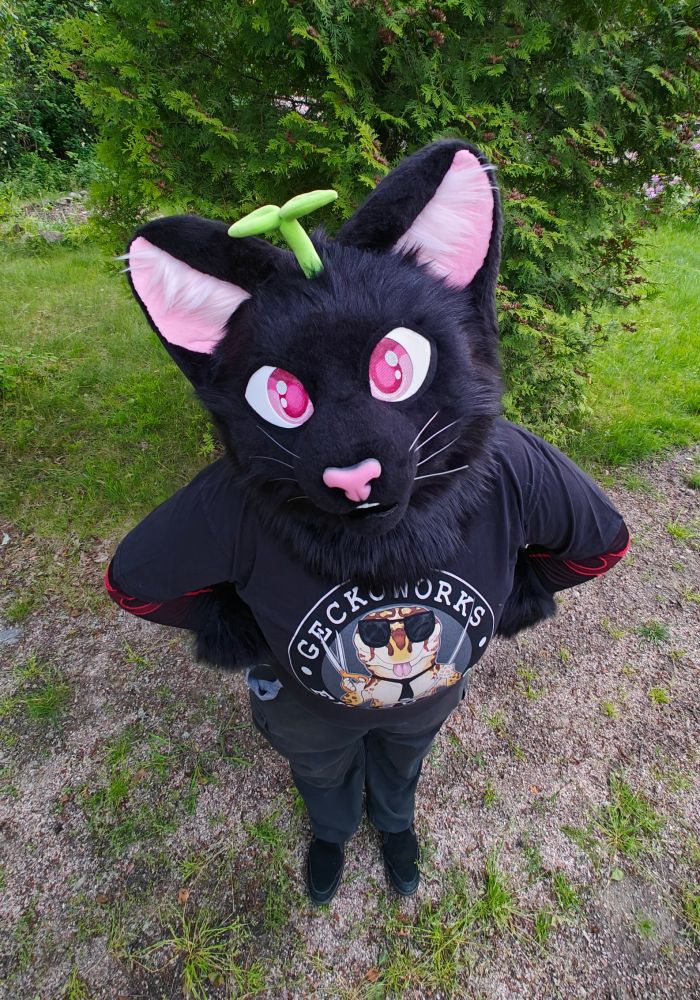Black cat partial fursuiter with magnetic plant head attachment, without the eyelids. Image taken from an above perspective, looking into the camera holding arms on the side.