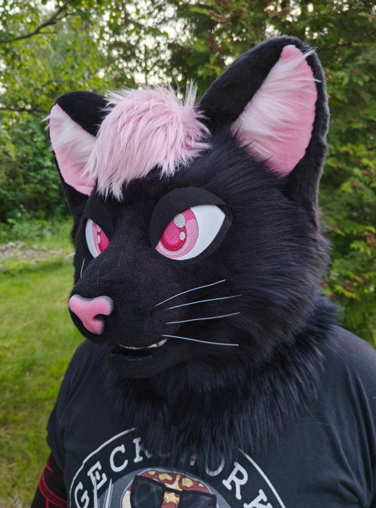 Black cat partial fursuiter with light dusky pink hair piece.