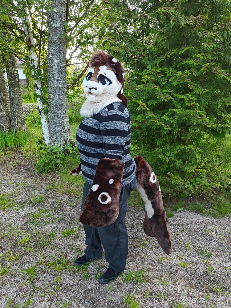 Seal fursuit partial looking tired, 3/4 perspective 