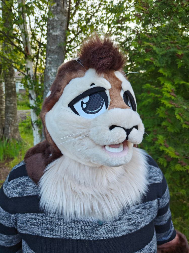 Seal fursuit partial head shot, looking tired 