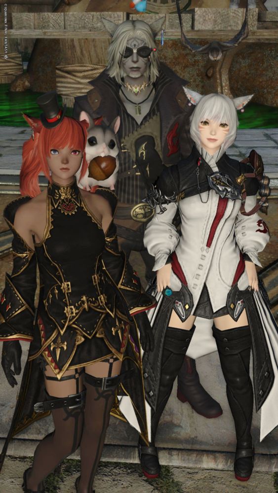 フォトモードにしたらシャキる説。実証ならず笑