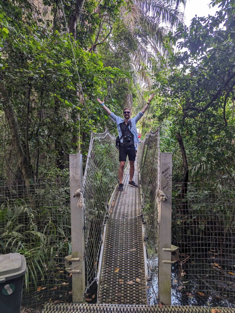 A figure, Chris Park-Kennaby, standing with his hands raised on the canopy walkways at the Lekki Conservation Center