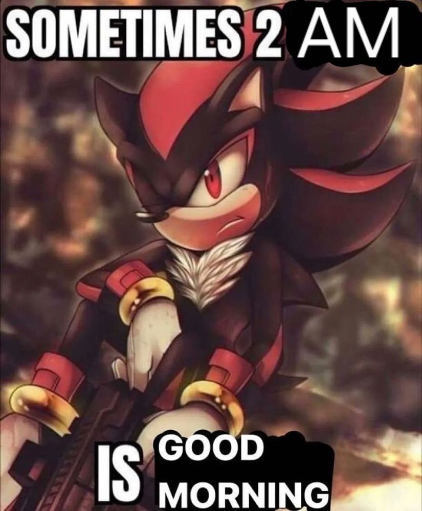 An image of Shadow the Hedgehog with the text "sometimes 2am is good morning"