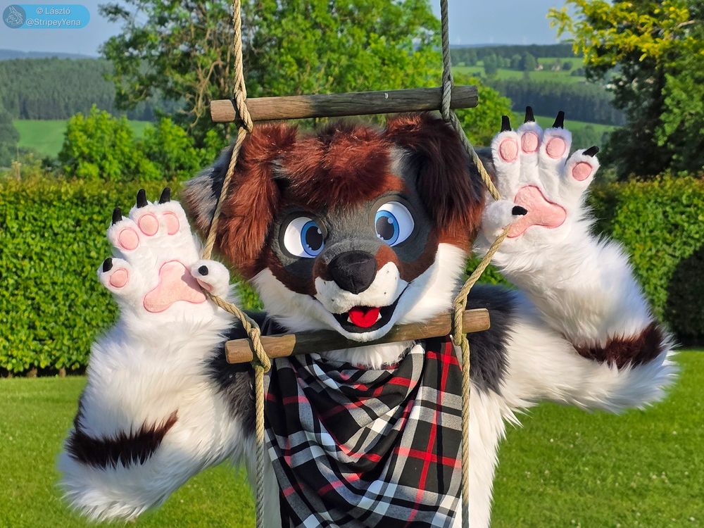 Takeru, the fluffy, floppy-eared Border Collie fursuiter, stands in front of a rope ladder, cheerfully squishing his face through the rungs while holding it apart with his thumbs. With the beautiful Ardennes landscape in the background,