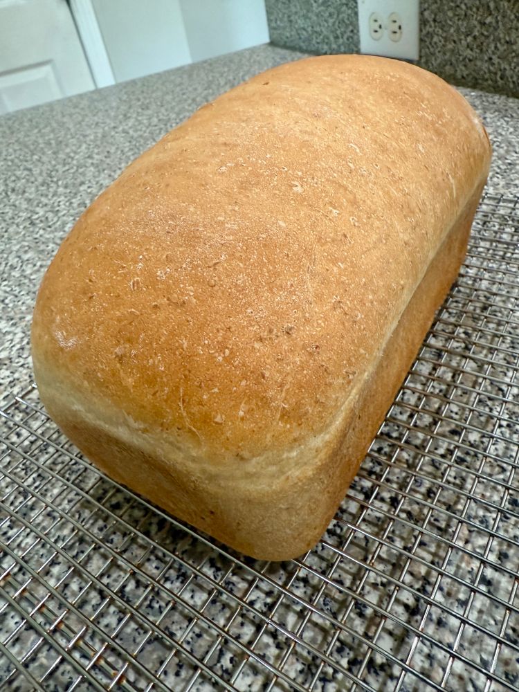 Photo of fresh bread that looks AMAZING on a cooling rack