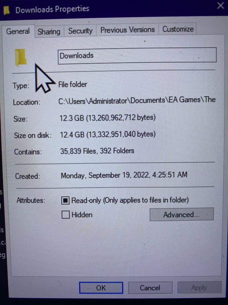 A screenshot of my Sims 2 Download folder showing it takes up 12.4 Gigabytes of space, containing 35,839 files within 392 folders