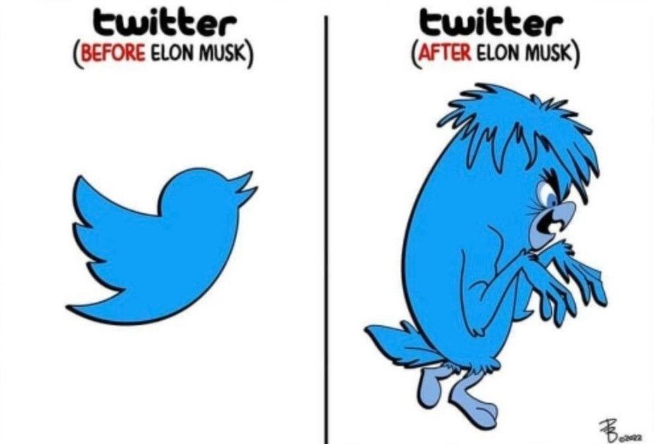 Split image of the traditional Twitter logo (blue bird) on the left, before being bought by Musk, and an angry bird on the right, post-purchase.