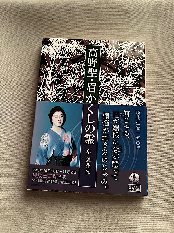 高野聖・眉かくしの霊　泉鏡花作