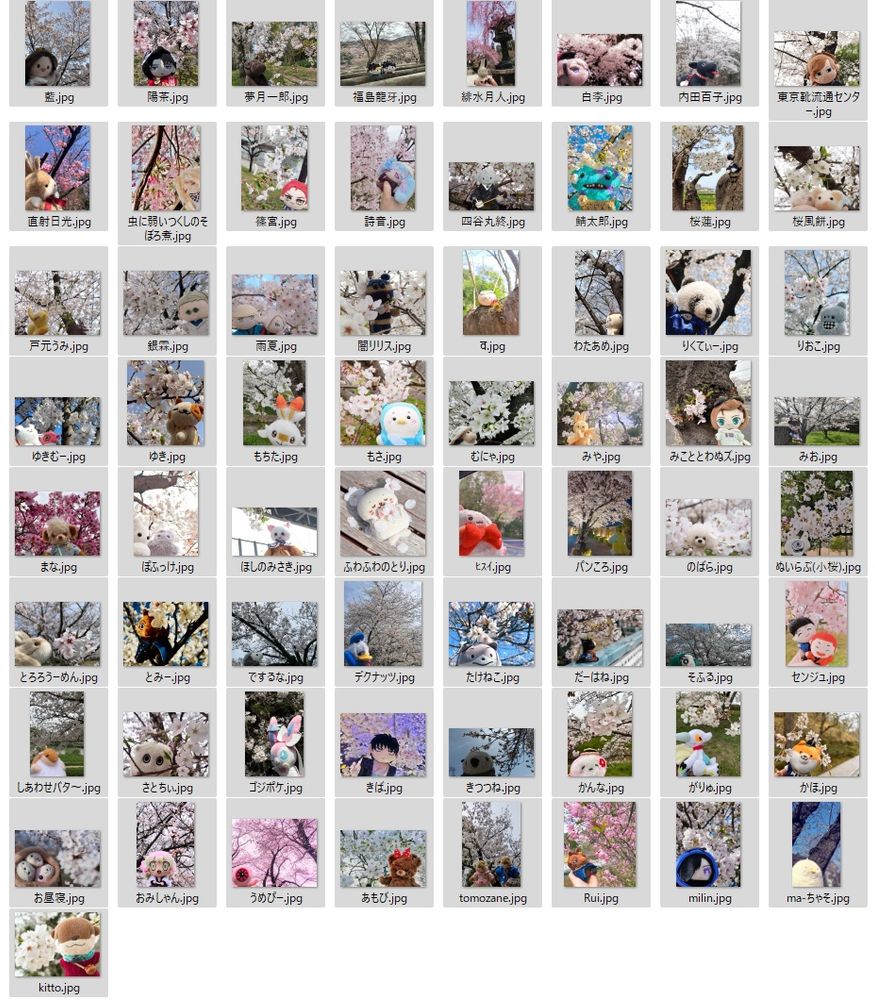 桜ぬい祭り参加者（名前順）※敬称略