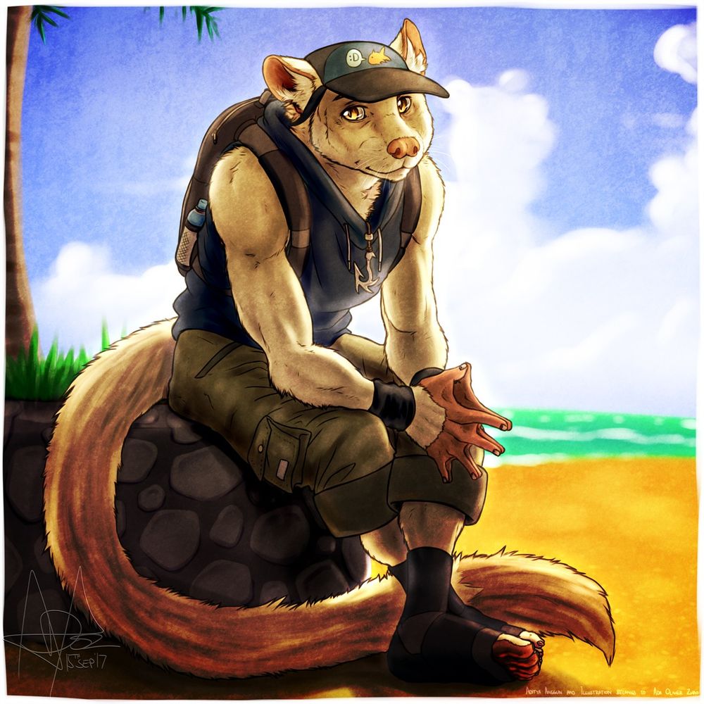 My civet boy, Adi, ready to meet up and travel with the Assistant Coach of the professional basketball team he was playing for at the time.

The fish on his cap is a memento of my late best friend, who's passed on back in December of 2016.