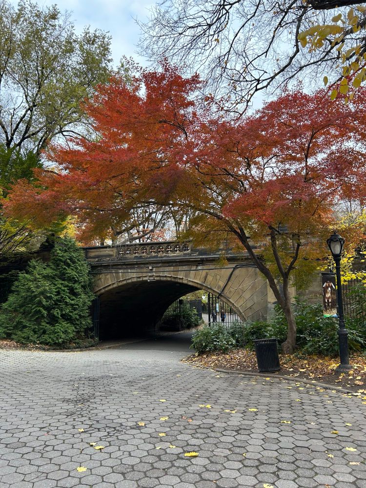 A picturesque scene featuring a stone bridge with intricate detailing, surrounded by vibrant autumn foliage. Red and orange leaves are prominent, along with green bushes and a paved pathway scattered with fallen leaves. There are also street lamps along the path. The sky is partly cloudy.