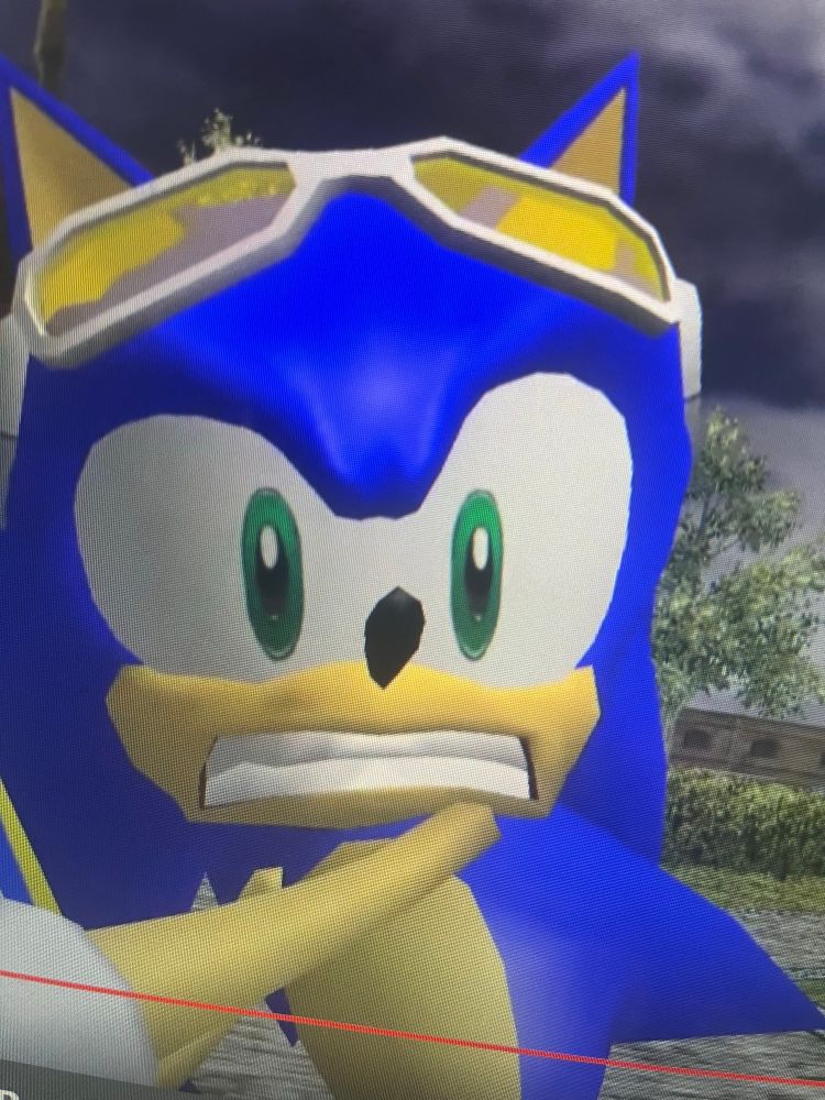 Sonic from Sonic Riders, looking very scared in an exaggerated cartoony and stretchy way. 