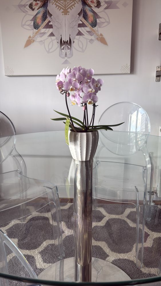 Orchids on my dining table. 