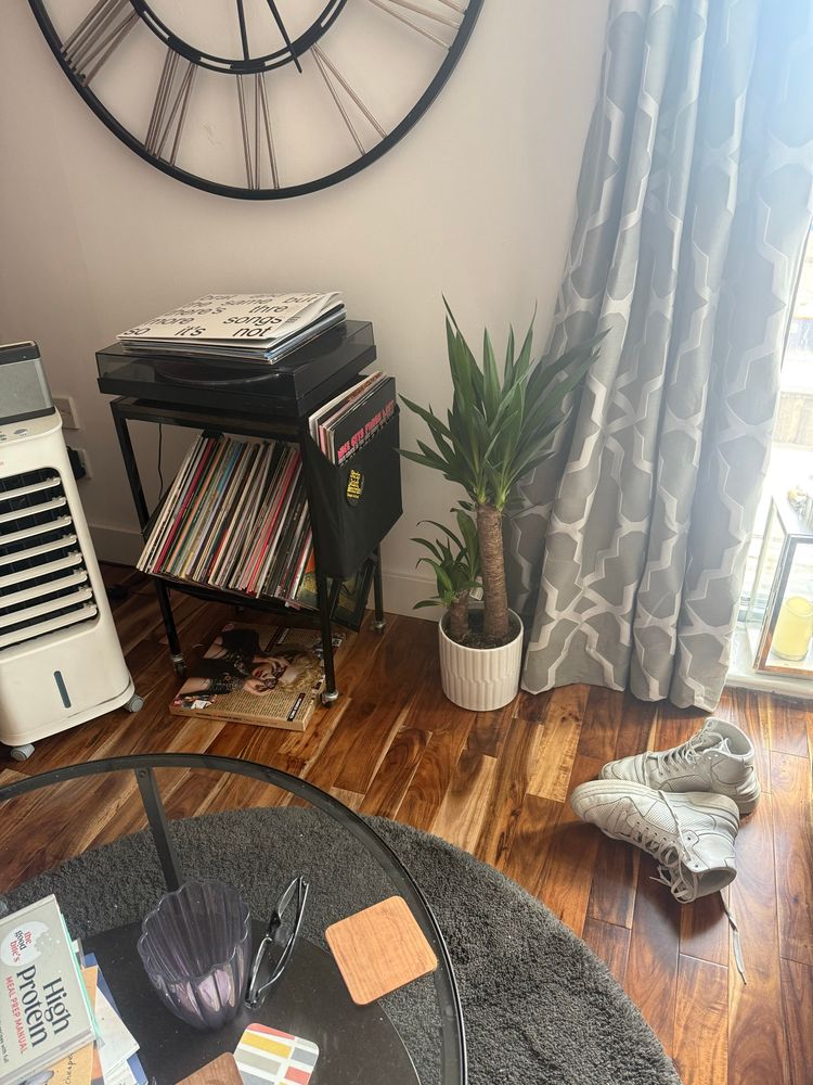 Plant by my record player