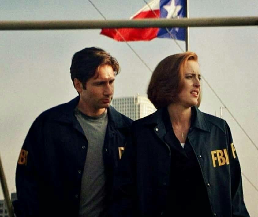 fox mulder, dana scully, the x files, arquivo x