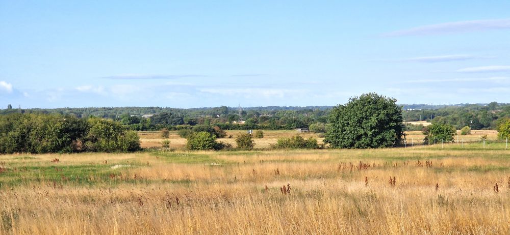 View across a grass field. Trees and bushes in the distance. Blue skies.
